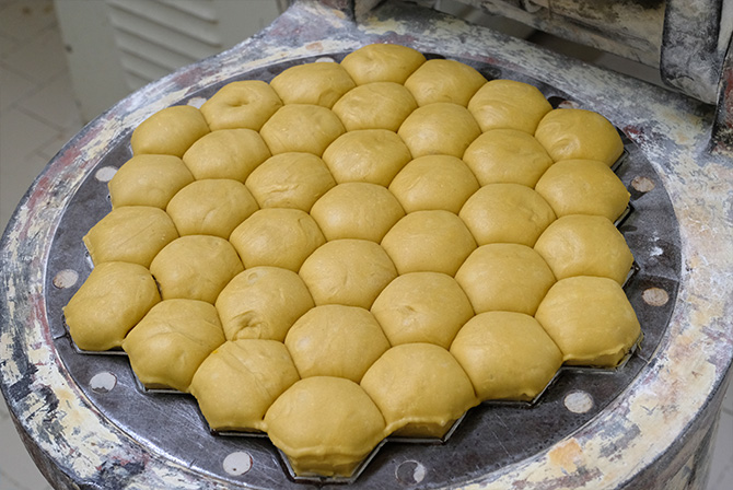 Brasadele